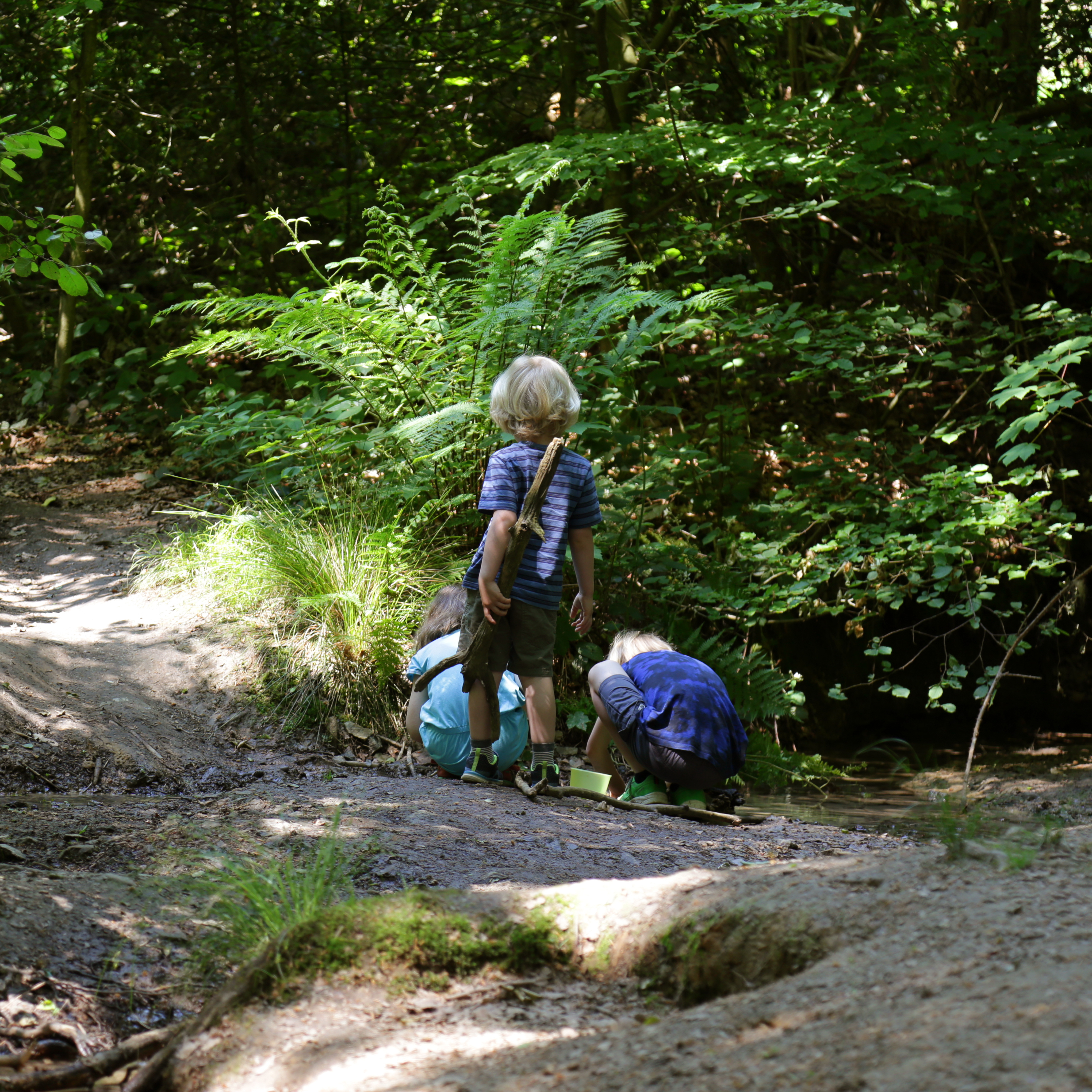 Waldtage und Waldwochen gestalten und begleiten