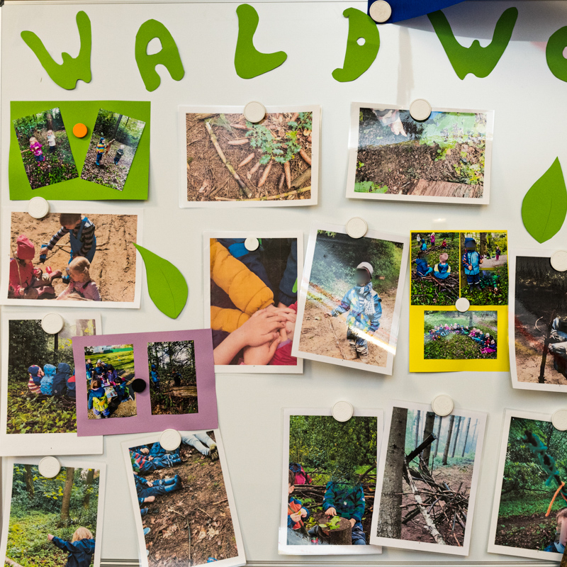 Waldtage und Waldwochen planen